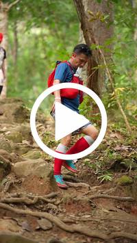 BIB:  <button type="button" onclick="openModal(27582243)" class="btn btn-primary btn-sm float-right" data-toggle="modal" data-target=".modal-high-quality">
                <i class="fa fa-download"></i> Download
                </button>